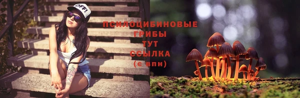 крисы Няндома