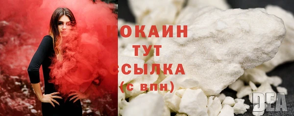 крисы Няндома