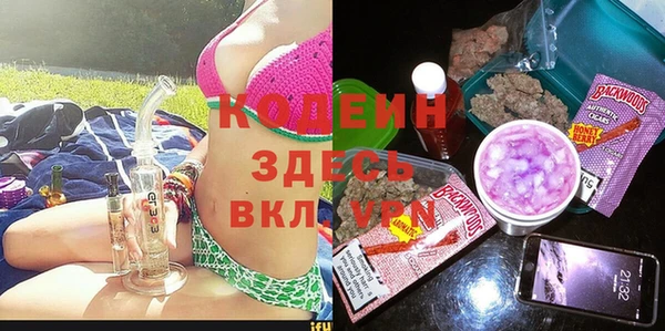 крисы Няндома