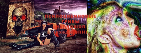 apvp Нягань