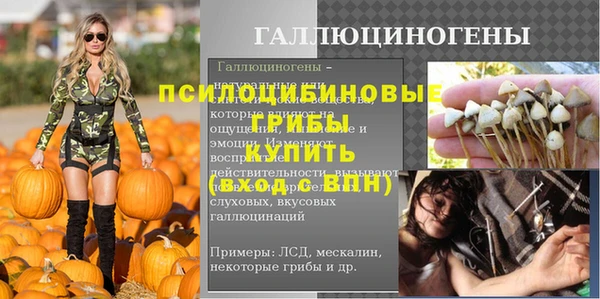 apvp Нягань