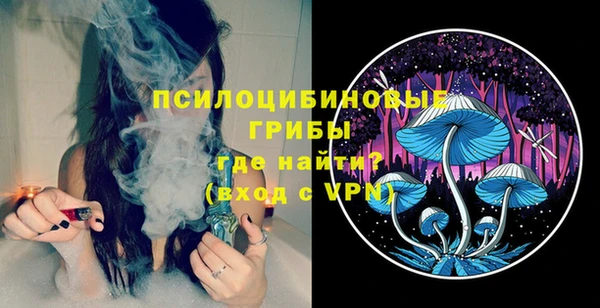 крисы Няндома