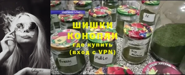 крисы Няндома