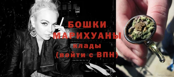 крисы Няндома