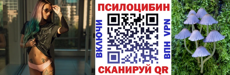наркота  Кореновск  Псилоцибиновые грибы мицелий 